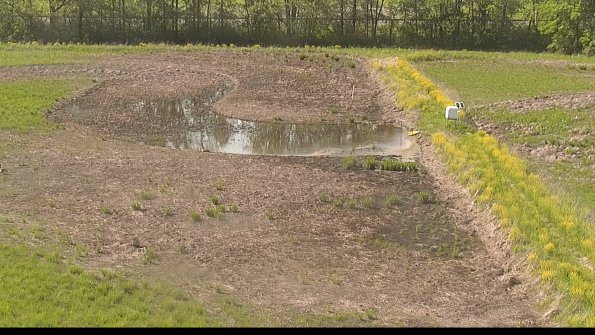 capture-14-22-05-17_17-02-55-47