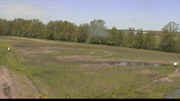 capture-4-22-05-17_11-50-29-50