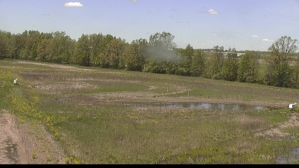 capture-4-22-05-17_12-52-50-39