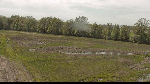 capture-4-22-05-17_15-59-51-53