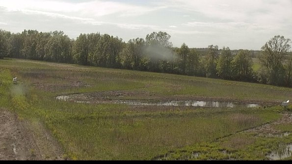 capture-4-22-05-17_17-02-12-49