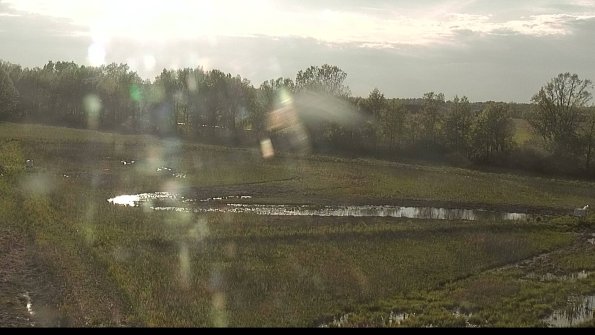 capture-4-22-05-17_19-06-53-40