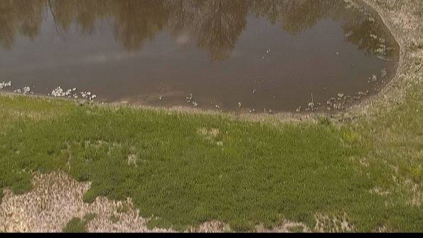 capture-8-22-05-17_10-47-26-33