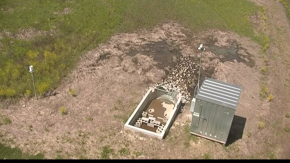 capture-9-22-05-17_11-51-41-44