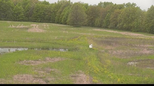 capture-12-22-05-18_09-39-30-40