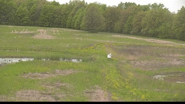 capture-12-22-05-18_10-41-51-32