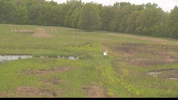 capture-12-22-05-18_12-46-33-23