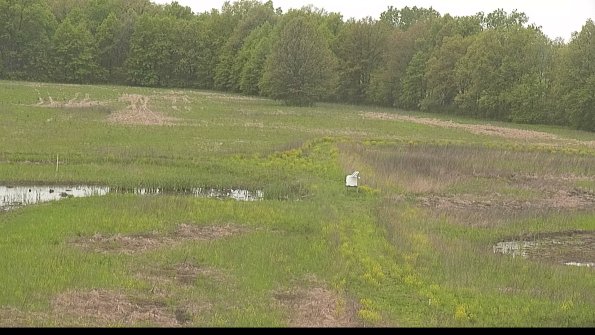 capture-12-22-05-18_13-48-53-69