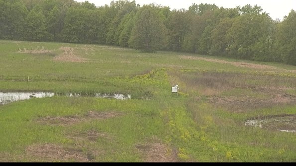 capture-12-22-05-18_14-51-14-41