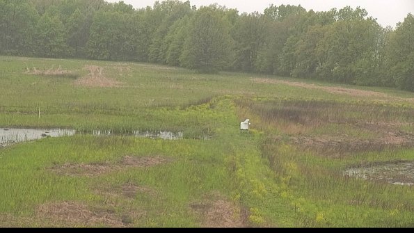 capture-12-22-05-18_16-55-54-42