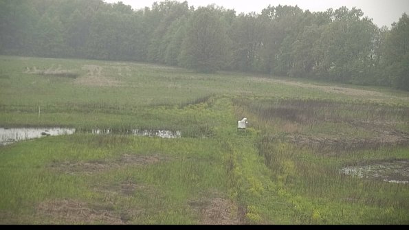 capture-12-22-05-18_19-00-37-20