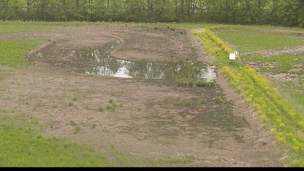 capture-14-22-05-18_10-42-46-31