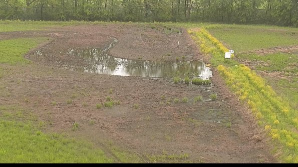 capture-14-22-05-18_12-47-28-36