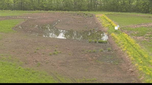 capture-14-22-05-18_13-49-49-35