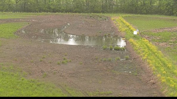 capture-14-22-05-18_14-52-09-37