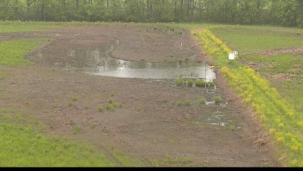 capture-14-22-05-18_16-56-50-35