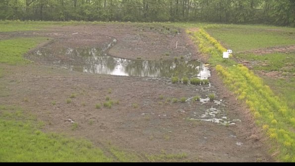 capture-14-22-05-18_20-03-51-41