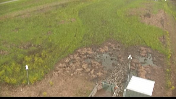 capture-3-22-05-18_12-46-18-32