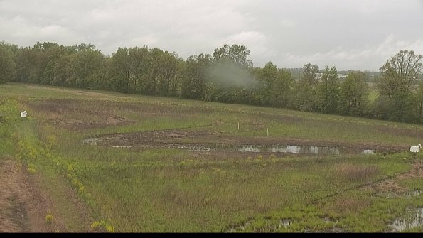 capture-4-22-05-18_12-46-45-38