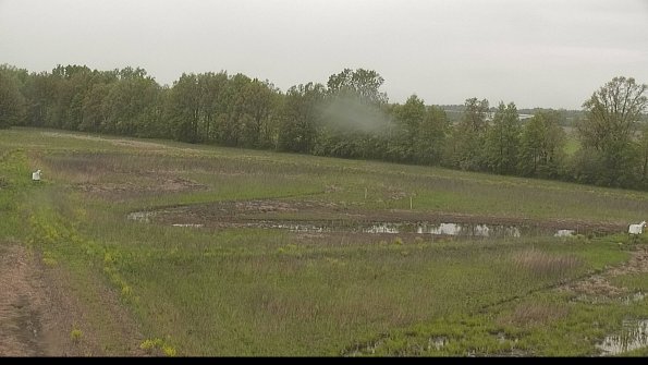 capture-4-22-05-18_13-49-06-47