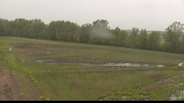 capture-4-22-05-18_15-53-47-41