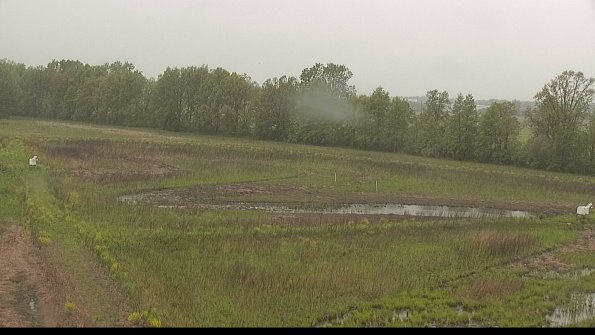 capture-4-22-05-18_16-56-07-30