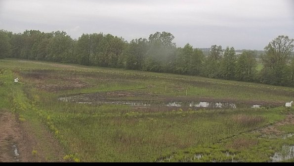 capture-4-22-05-18_20-03-10-14