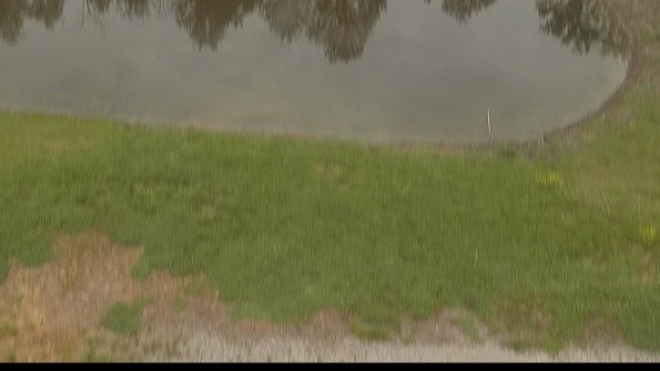 capture-8-22-05-18_13-48-24-29