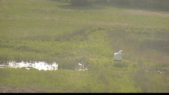 capture--22-05-19_18-28-17-31