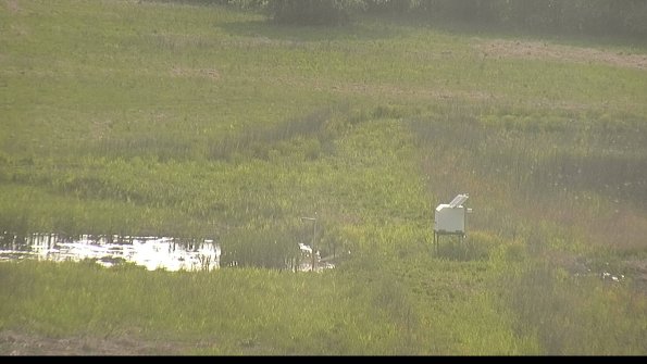 capture--22-05-19_18-29-12-37