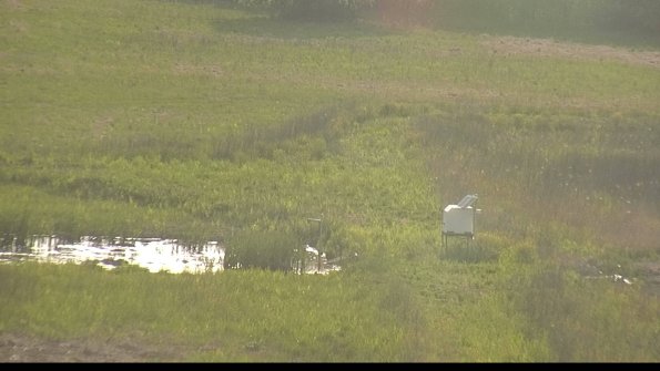 capture--22-05-19_18-42-02-50