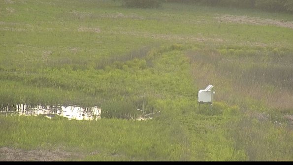 capture--22-05-19_19-29-48-25