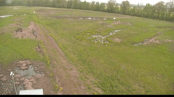 capture-1-22-05-19_09-35-02-21