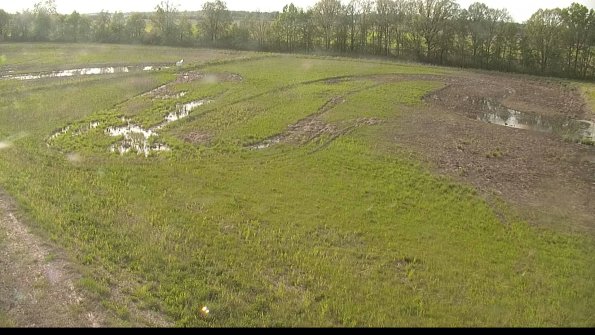 capture-1-22-05-19_18-29-04-96