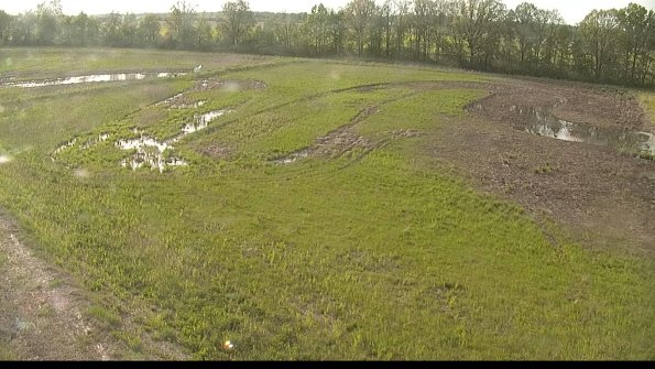 capture-1-22-05-19_18-36-24-83