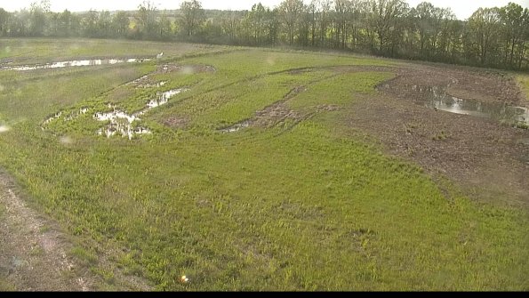 capture-1-22-05-19_18-37-19-62