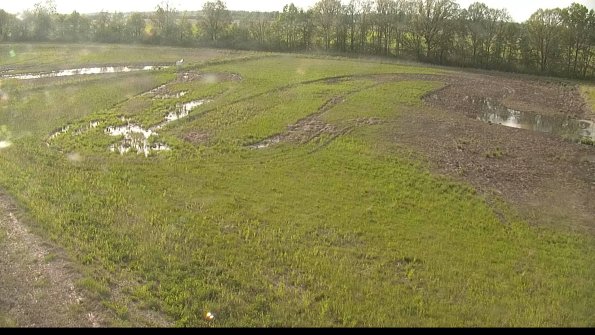 capture-1-22-05-19_18-43-44-74