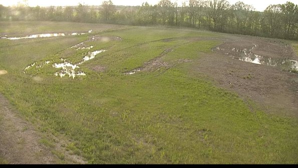 capture-1-22-05-19_19-43-54-59