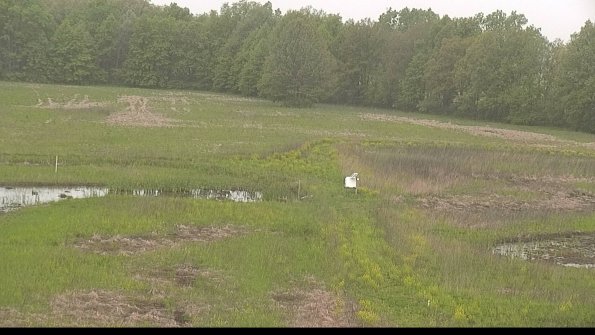 capture-12-22-05-19_08-31-04-22