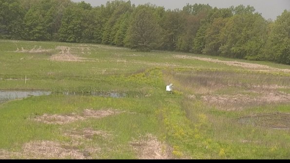 capture-12-22-05-19_11-38-06-30