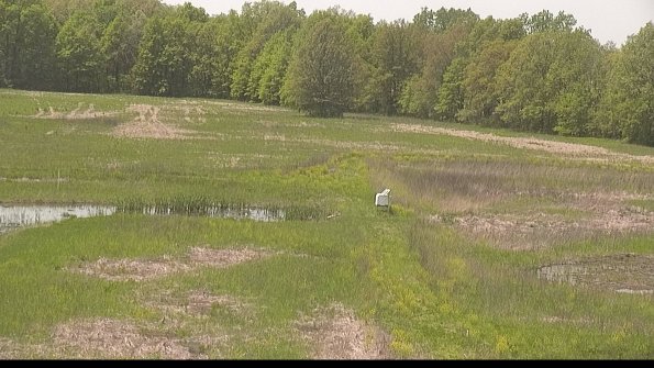 capture-12-22-05-19_13-42-49-24