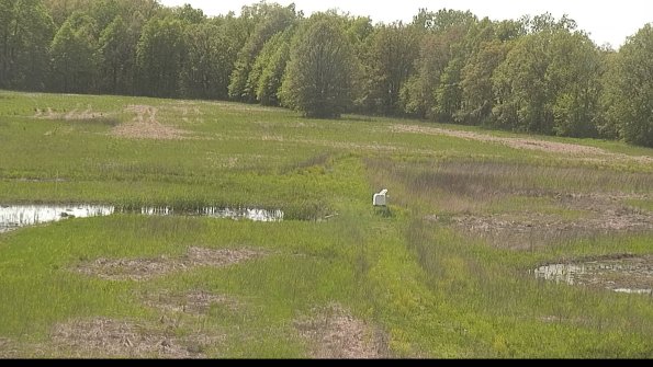 capture-12-22-05-19_15-47-30-26