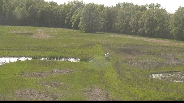 capture-12-22-05-19_16-49-50-28