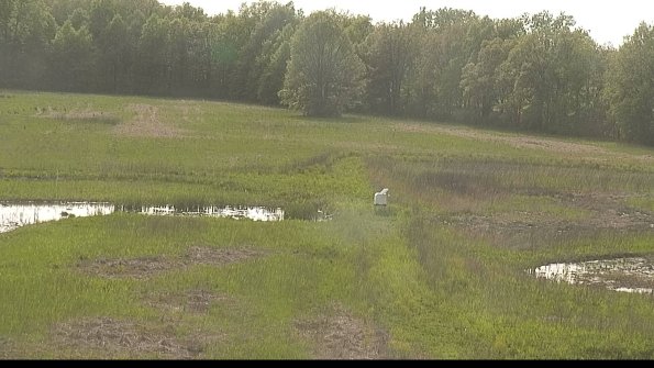 capture-12-22-05-19_17-52-10-27