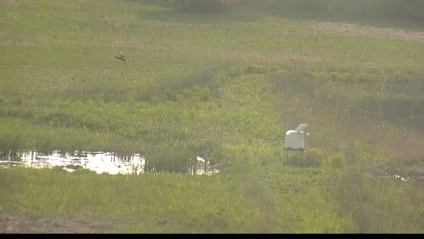 capture-12-22-05-19_18-39-17-77