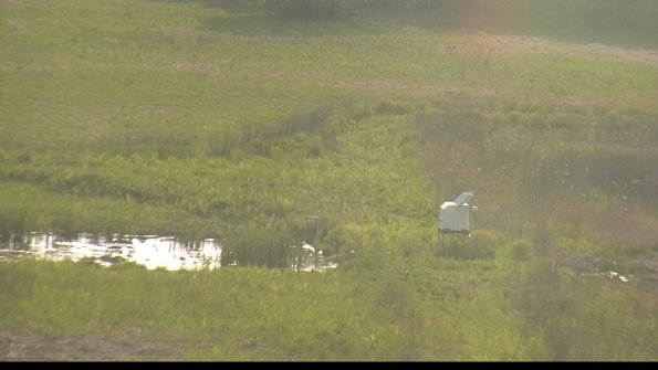 capture-12-22-05-19_18-48-27-66