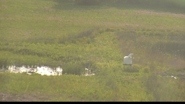 capture-12-22-05-19_18-57-37-64