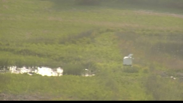 capture-12-22-05-19_19-02-12-55