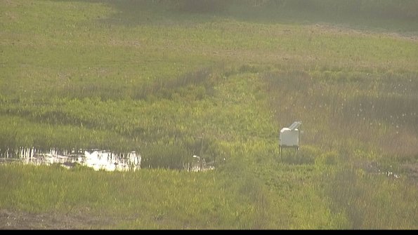 capture-12-22-05-19_19-09-32-29