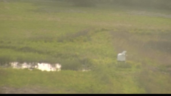 capture-12-22-05-19_19-25-47-57